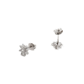Pendientes de Plata de Ley 925 con Circonita Brillante acabados en rodio - Aul-blanco