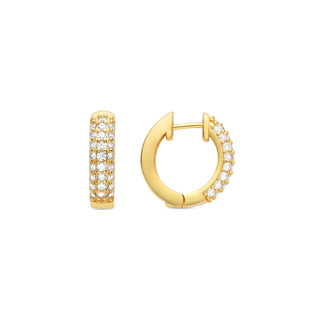 Pendientes de Circonita Brillante acabados en oro amarillo 18K - Rieli-blanco