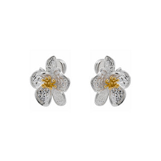 Pendientes de Perla Blanca Acabado En Plata - Besion-Plateado